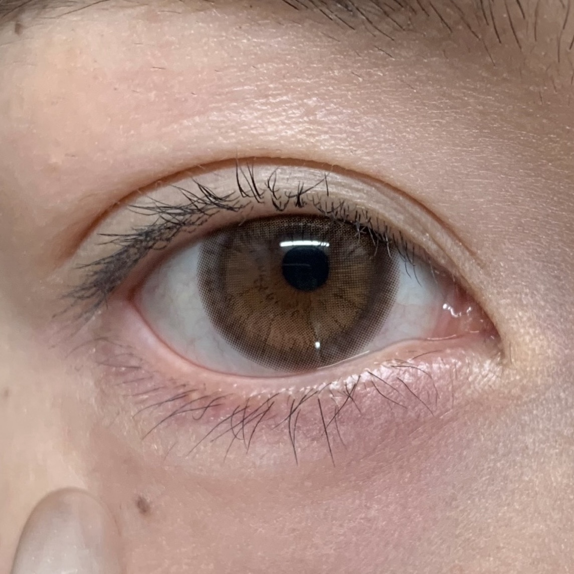 image_D886C5D3-E5D6-46EB-B191-6ABB278B9056_1765208012