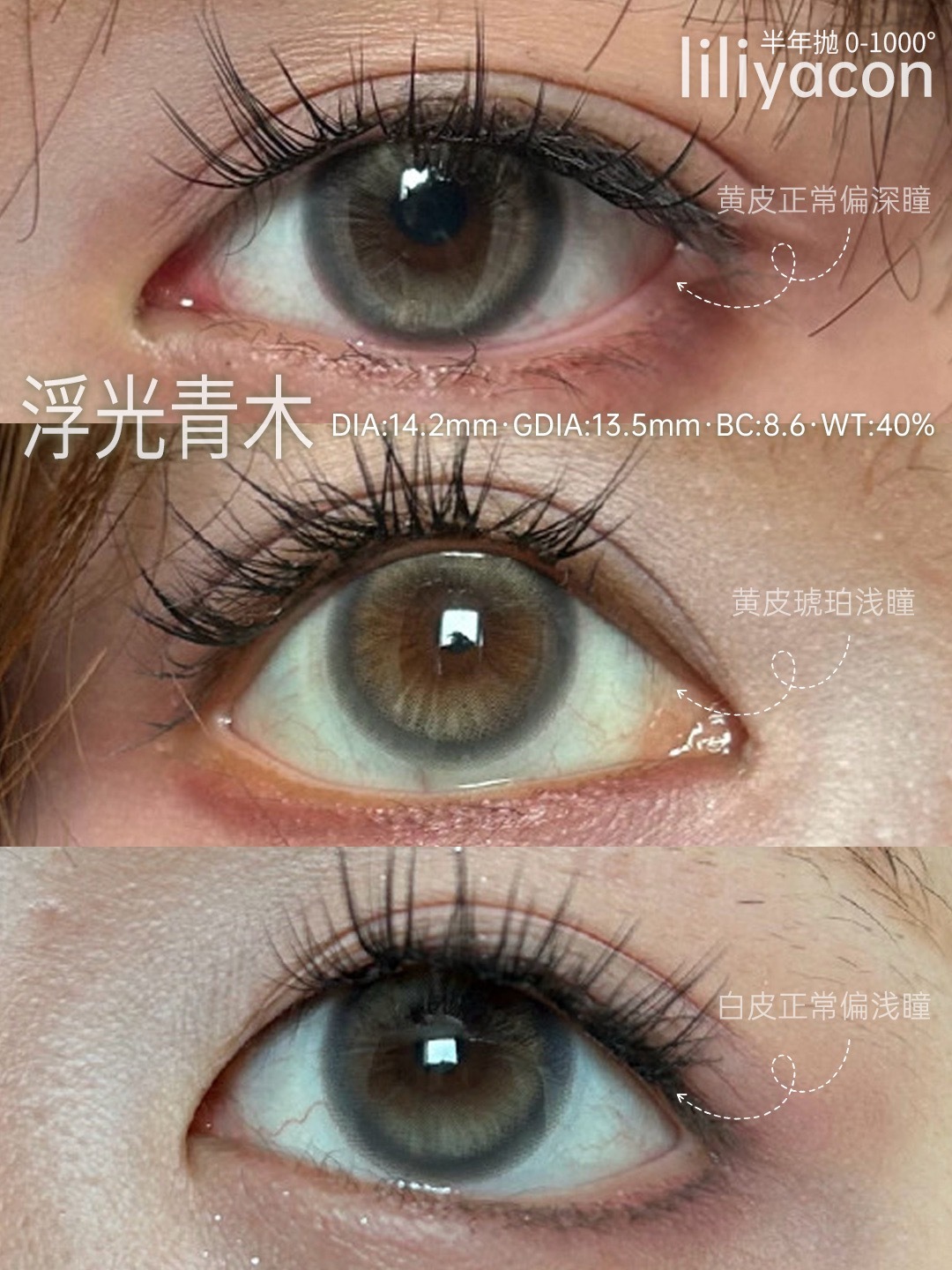 image_265F4655-E3D9-483E-B213-0055FB764935_1765208174