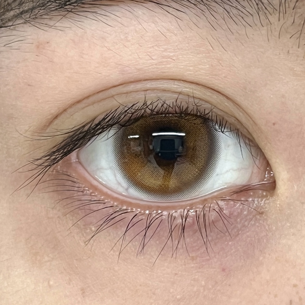 image_2DE9C143-8D1F-4DE8-80A3-8114BBFE7585_1765208289