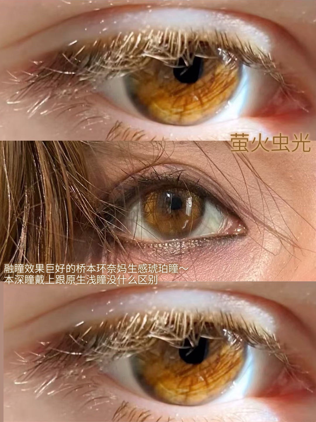 image_0580C365-E21C-4AF7-8C48-D4468820C629_1765208289