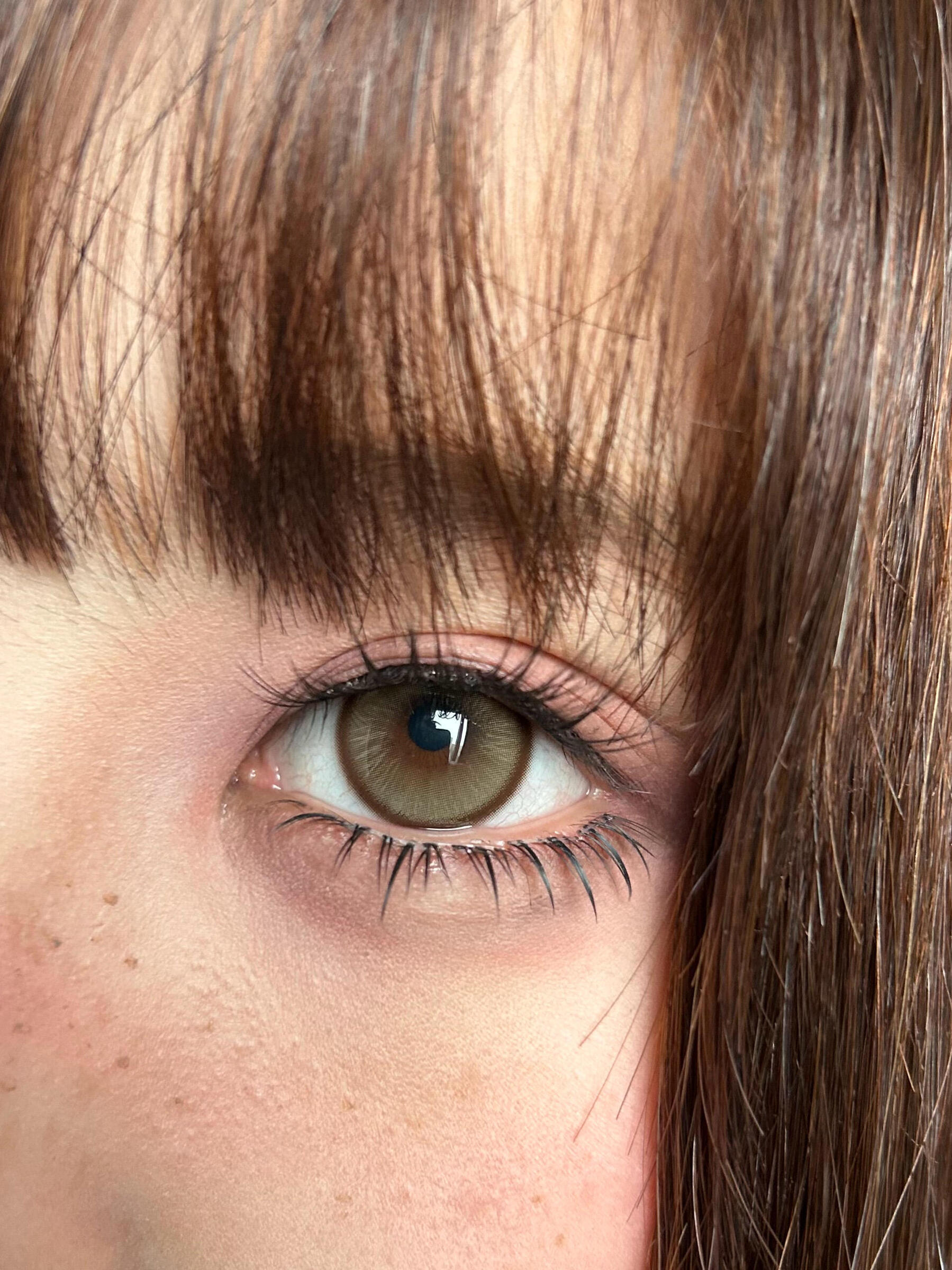 image_B52F7348-52FB-41EC-B642-5BED0FEEDF66_1765208940