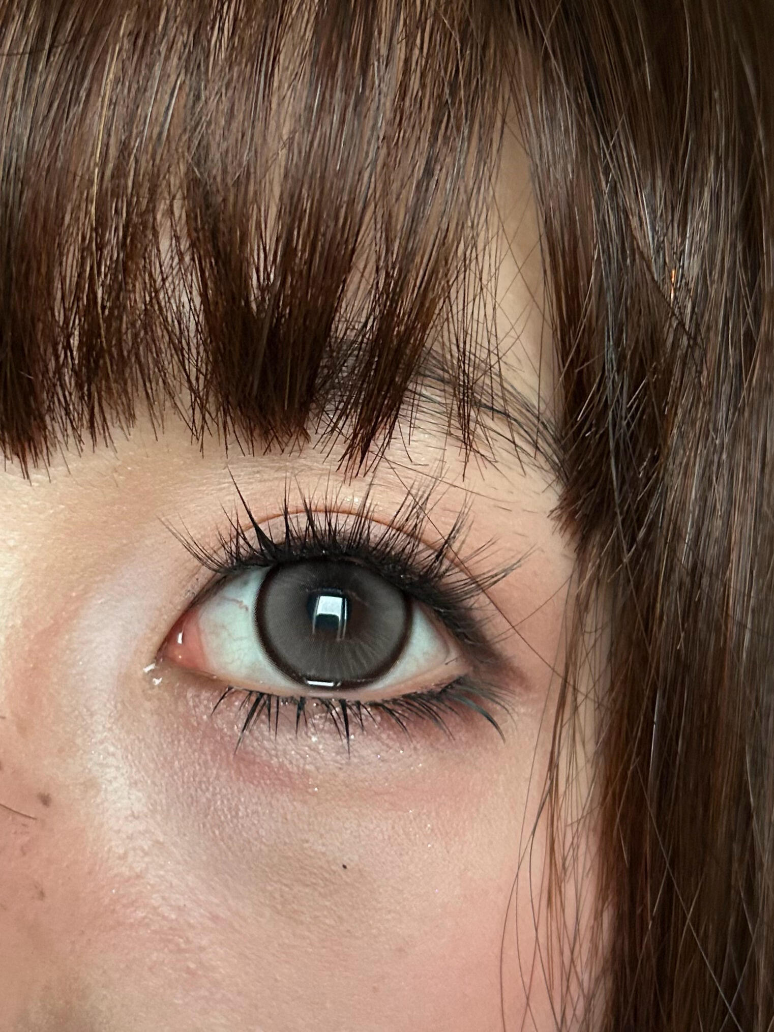 image_655484B4-2A7A-4B22-BCAE-B7947DDC78AC_1765209070