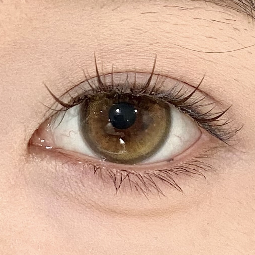 image_29E5A4EB-4628-459B-B89F-B8B2B6FA3EFE_1765210054