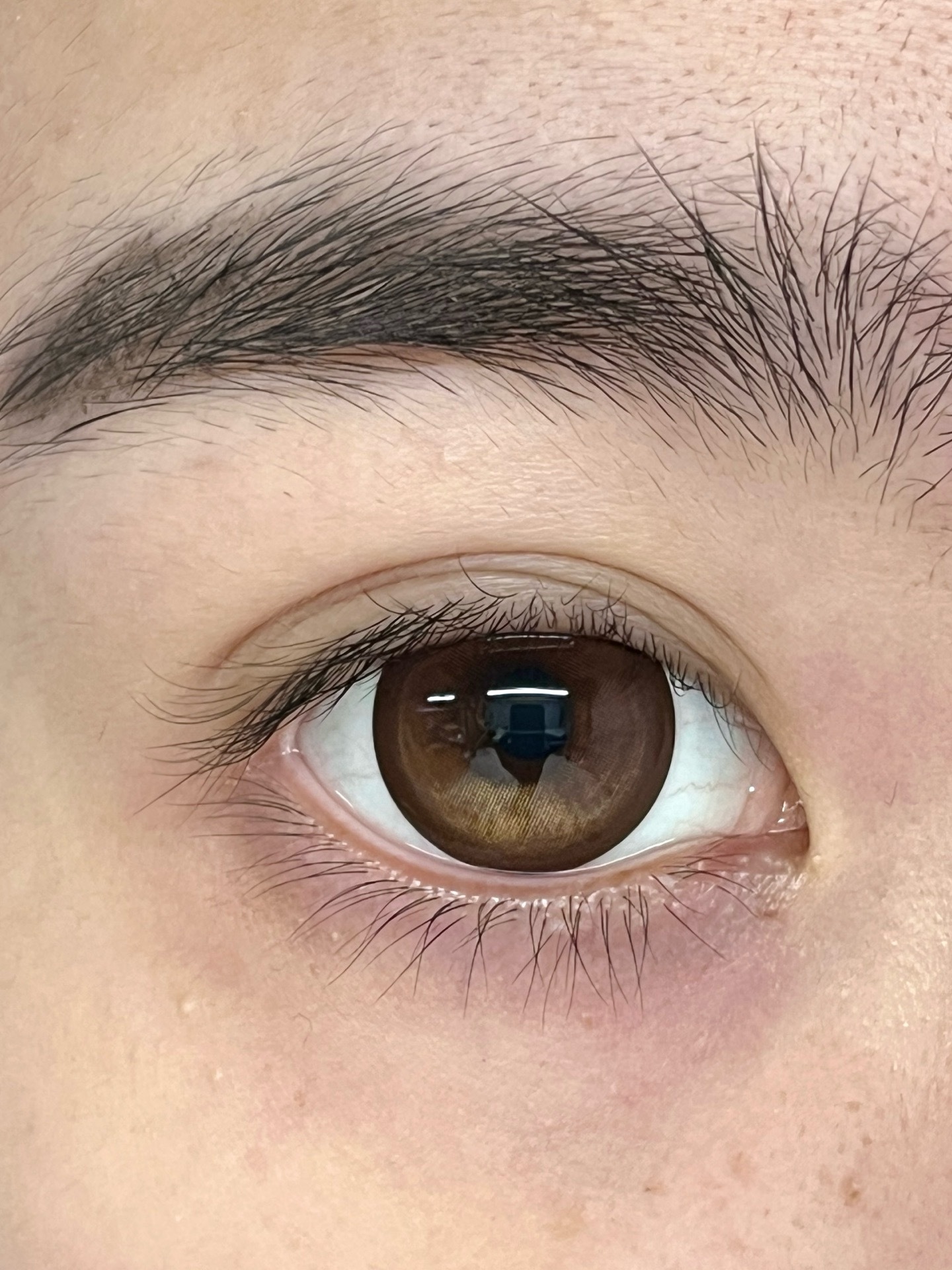 image_1E006303-A4D7-4B89-846E-E264600DD18F_1753209275