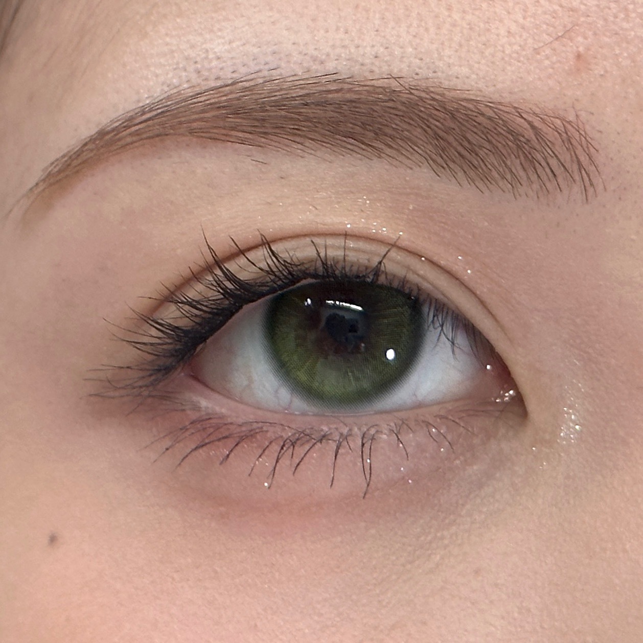 image_9D3DD130-54BF-4ED9-A551-7C4404D151E3_1765208652