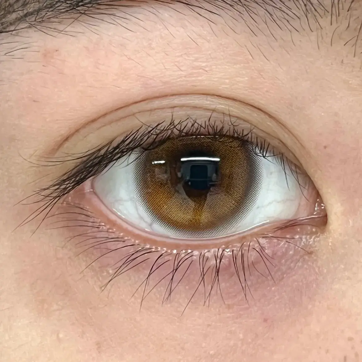 image_2DE9C143-8D1F-4DE8-80A3-8114BBFE7585_1765208289