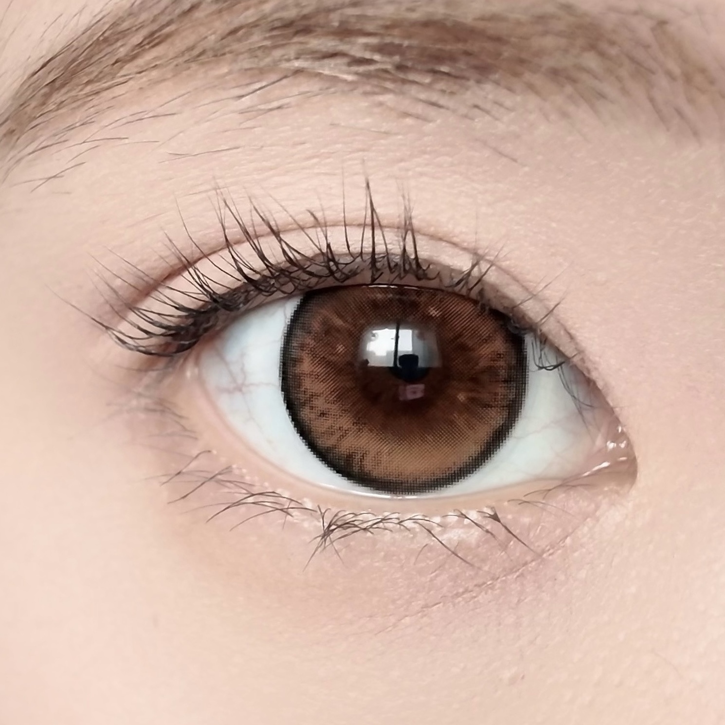 image_0814DDFA-6A6E-4804-AC3A-CC2AF77C5F73_1765208079