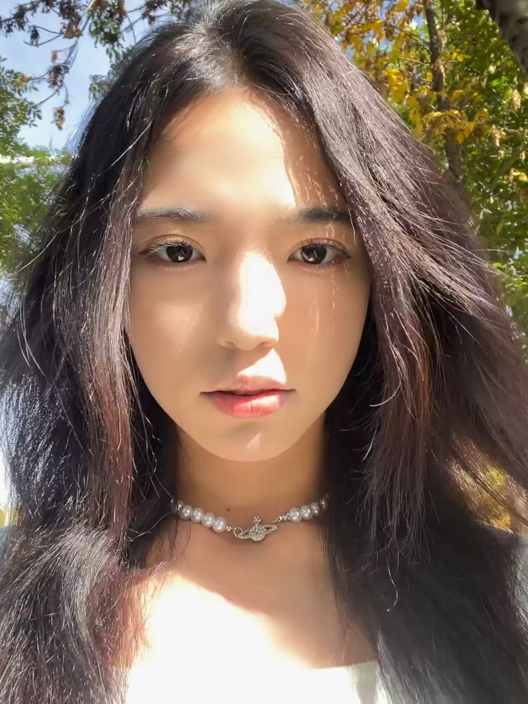 image_B29DAA0A-69D2-4953-A2BB-4CA6E0BDEEC8_1765308099