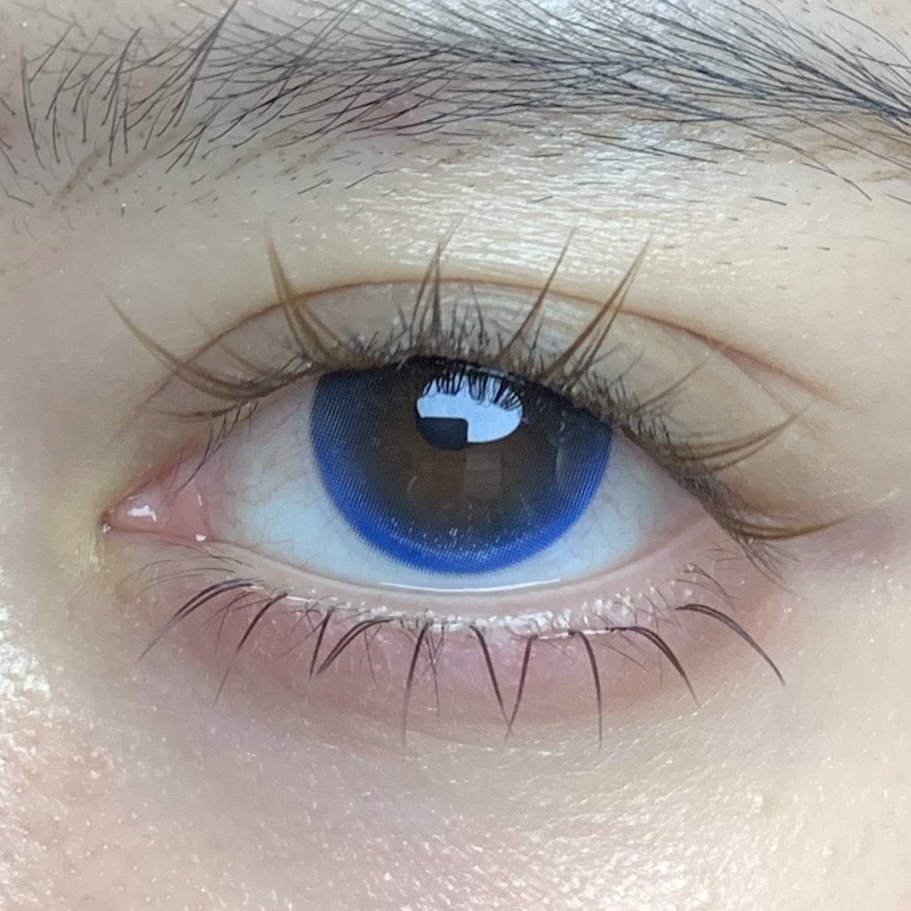 image_0716B506-8959-44A5-8281-3E8067C974DC_1765310376