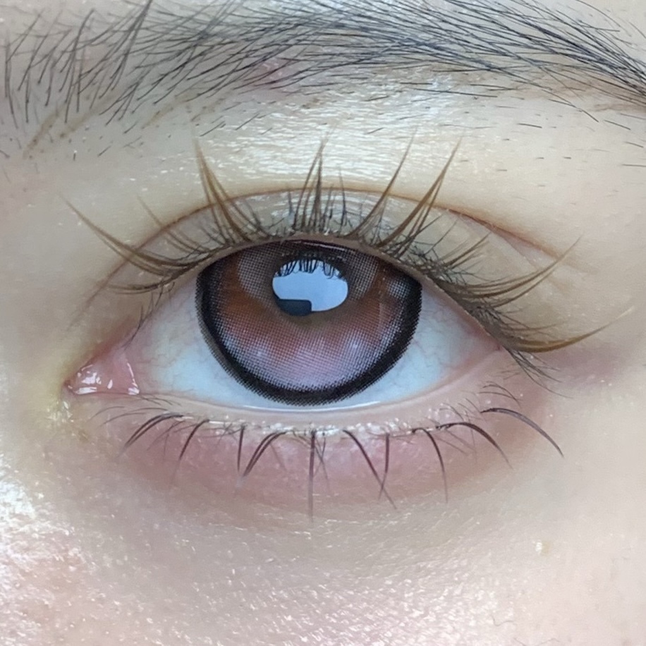 image_28971A26-ACC6-43A0-A221-633EDBC4B708_1765310438