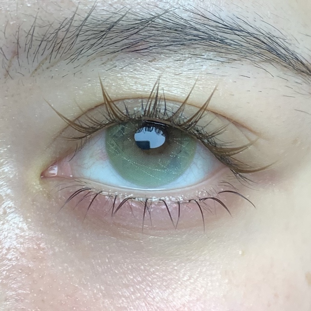 image_9FC1C424-2BB9-46AA-A85D-316419C0A1E5_1765310475