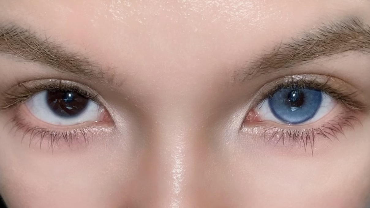 image_674E0CF8-AF9D-4A7B-9EDE-8A293157225C_1765450127