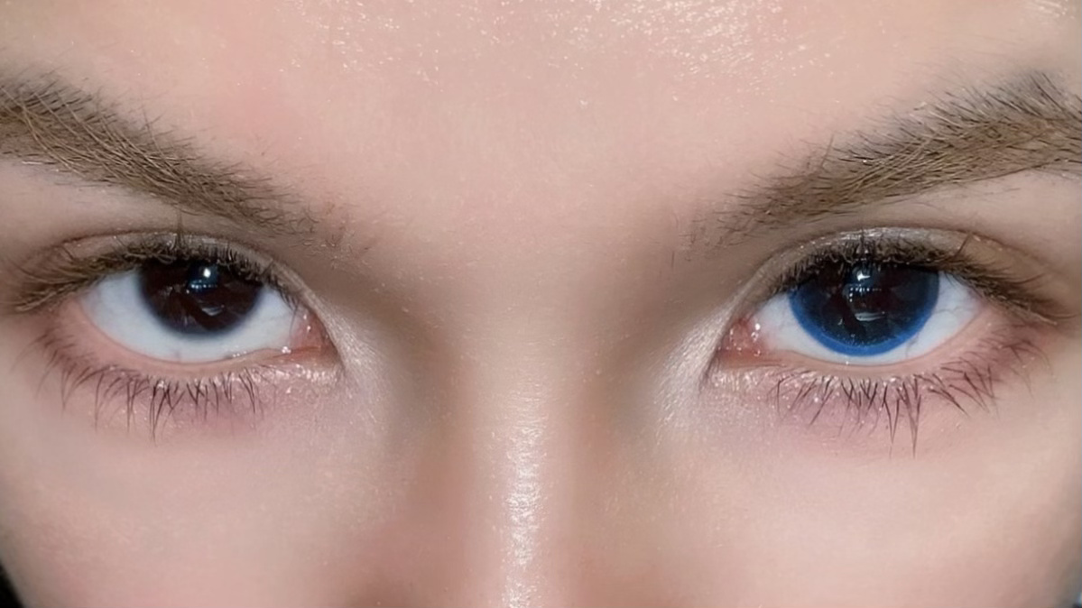 image_0E11F01D-85F3-4751-8F47-43F8642E5A97_1765450241