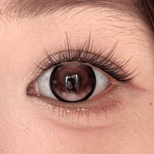 image_B123EED7-8648-443B-84AD-E45306704015_1765450862