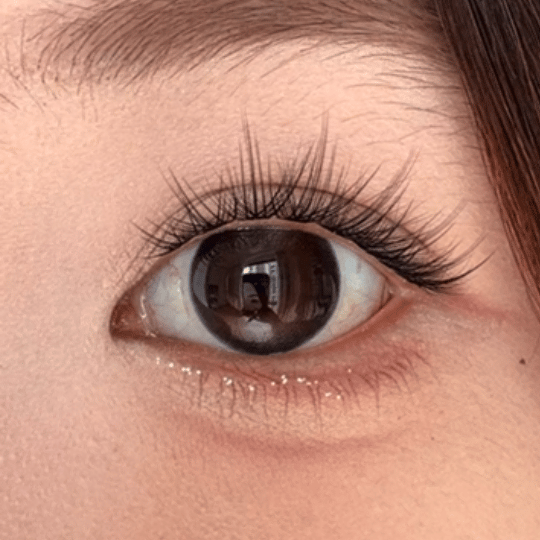 image_238EF7FB-8500-490D-9656-4CE78A1A620D_1765451043