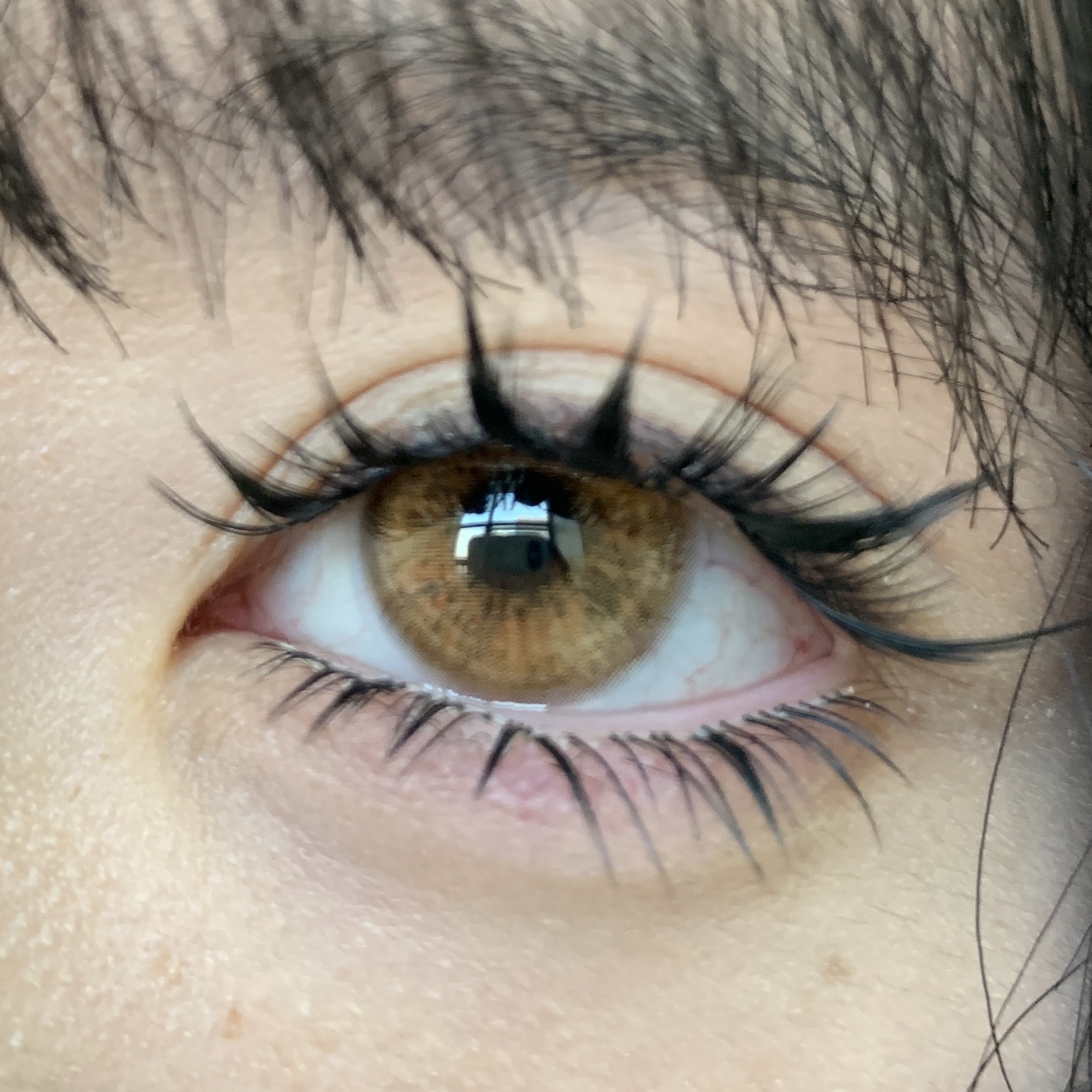 image_30E004F9-9BA7-4225-BBC4-E78C76F1BCAA_1765527737