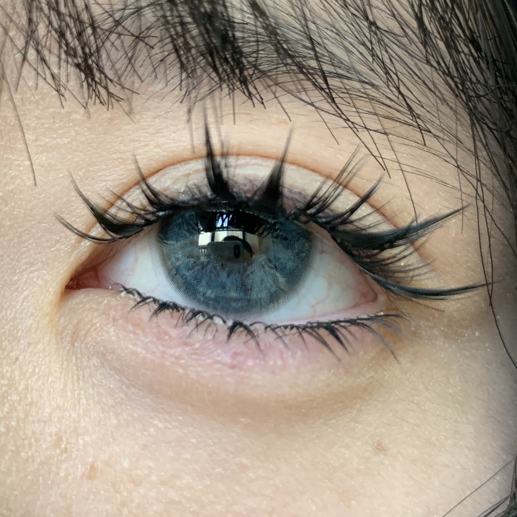 image_61BE5E92-DF16-4EC6-A60D-1ED6715627C1_1765527912