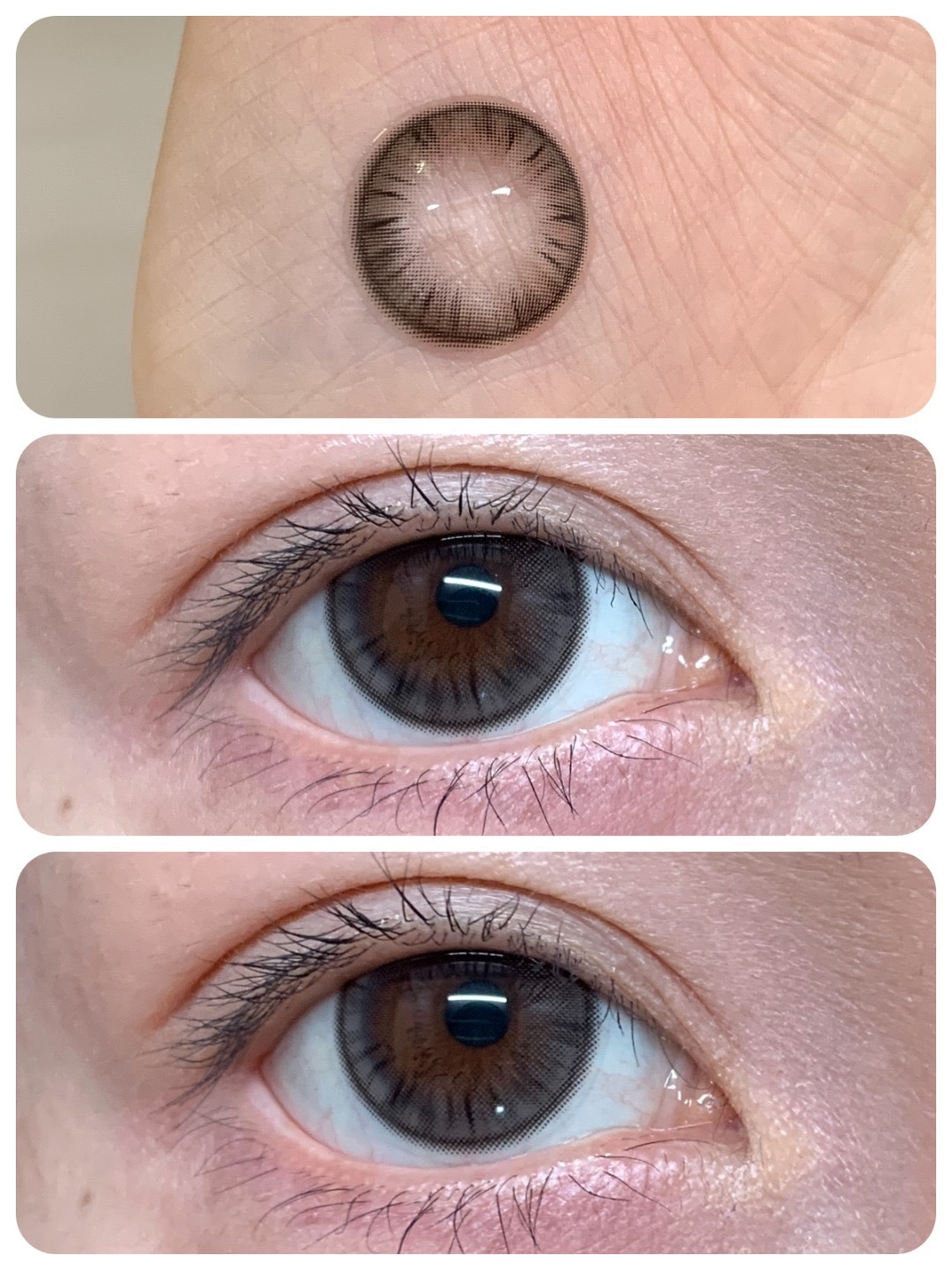 image_6C318889-FBE1-4D26-B000-EA12253D2878_1765876233