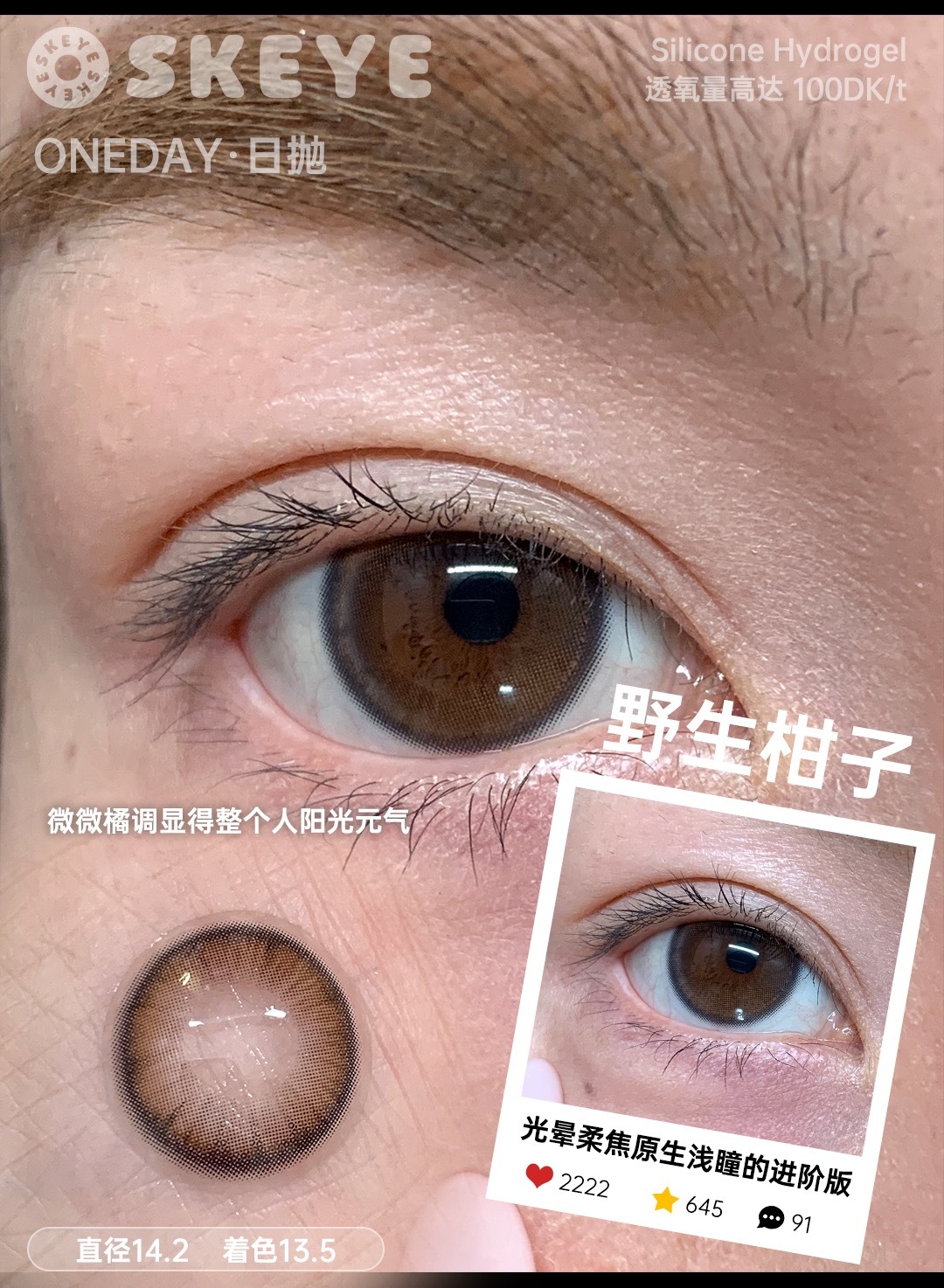 image_848FF765-DFC4-4857-80D0-1BFC5772944B_1765876416