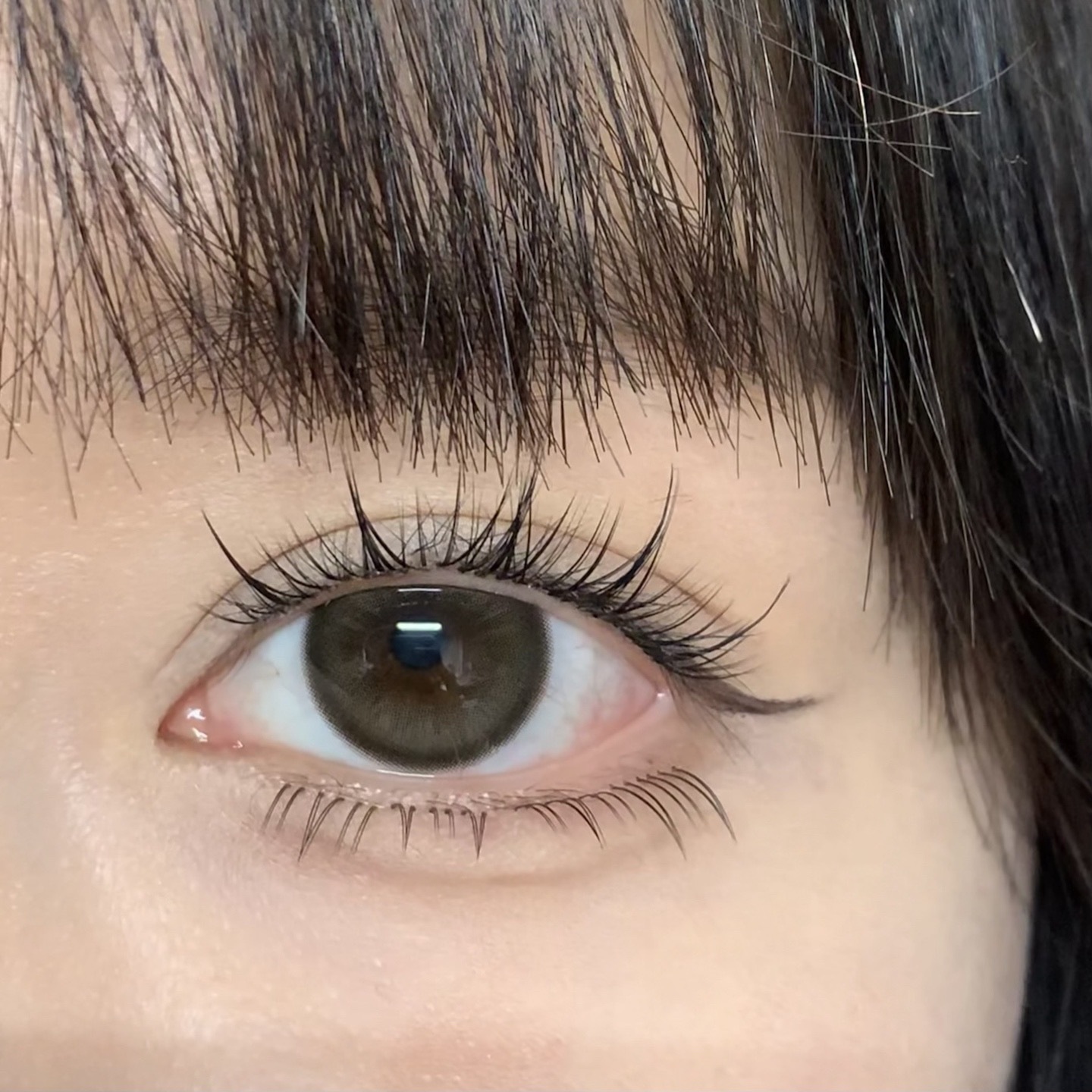 image_9DDFBBD9-CE34-4EB8-A4FD-55CEF03E5570_1766226450