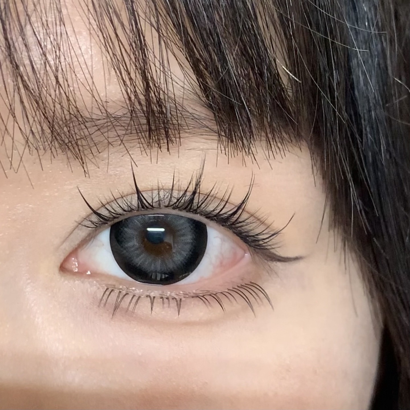 image_F2B154AA-F9CF-4586-8661-FF3FE8C32C6B_1766226510