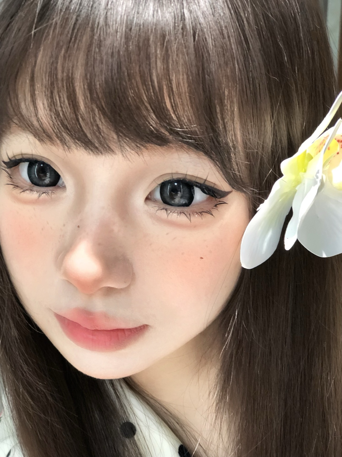 image_60A718DA-DBD8-4707-91E5-F54E83F2F3BA_1766226510