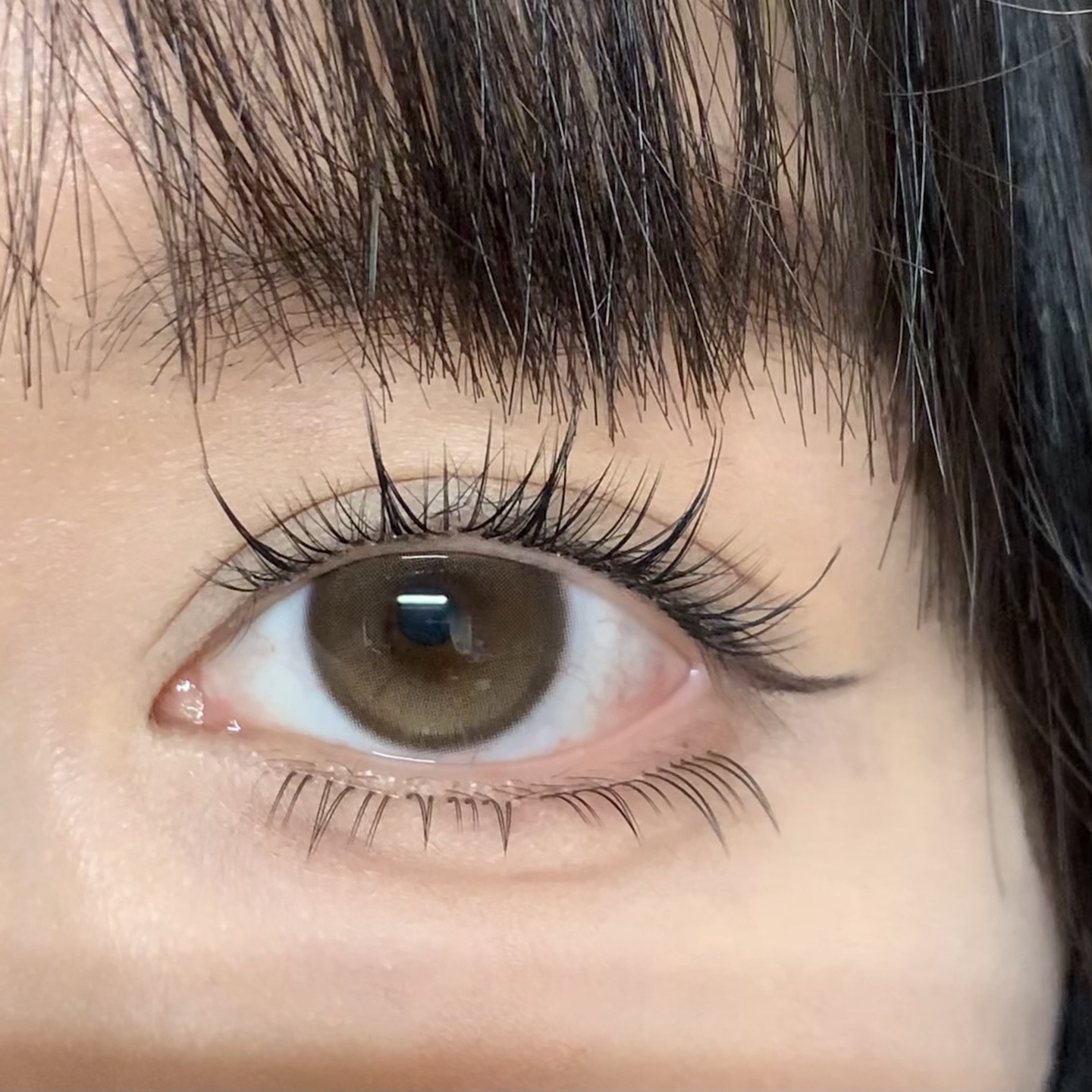 image_9C108D89-E2E3-48E8-869C-76CD34C18598_1766226543