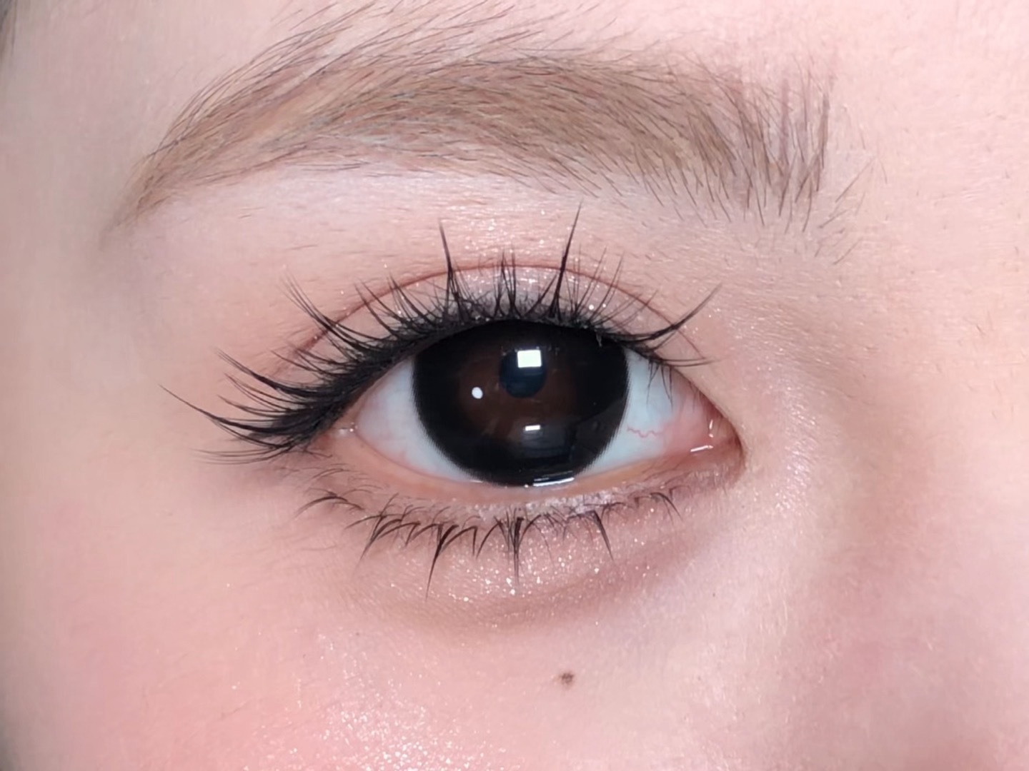 image_EBD15710-BA44-4B3F-9A8E-D86CBDB1C3DB_1766226698