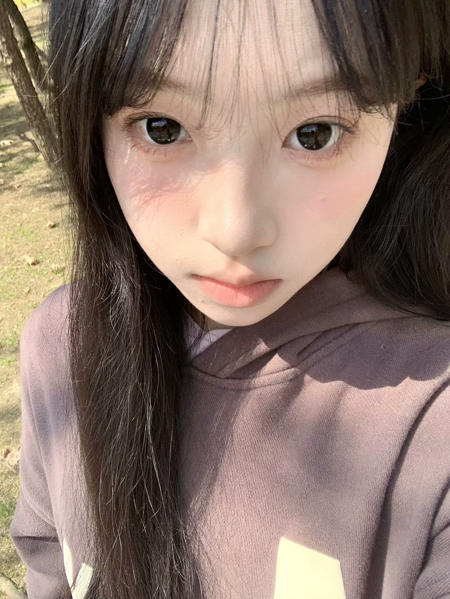 image_544C26AA-9129-4FD5-9442-8C0F0B39208D_1766226698