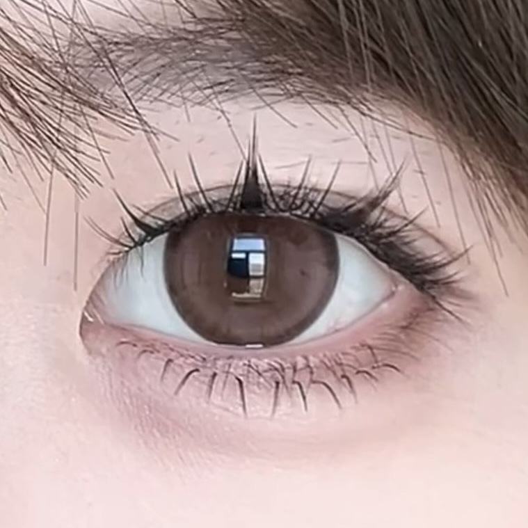 image_BE6FA113-E2AE-4753-B0F9-CCC4233F35E8_1766226814