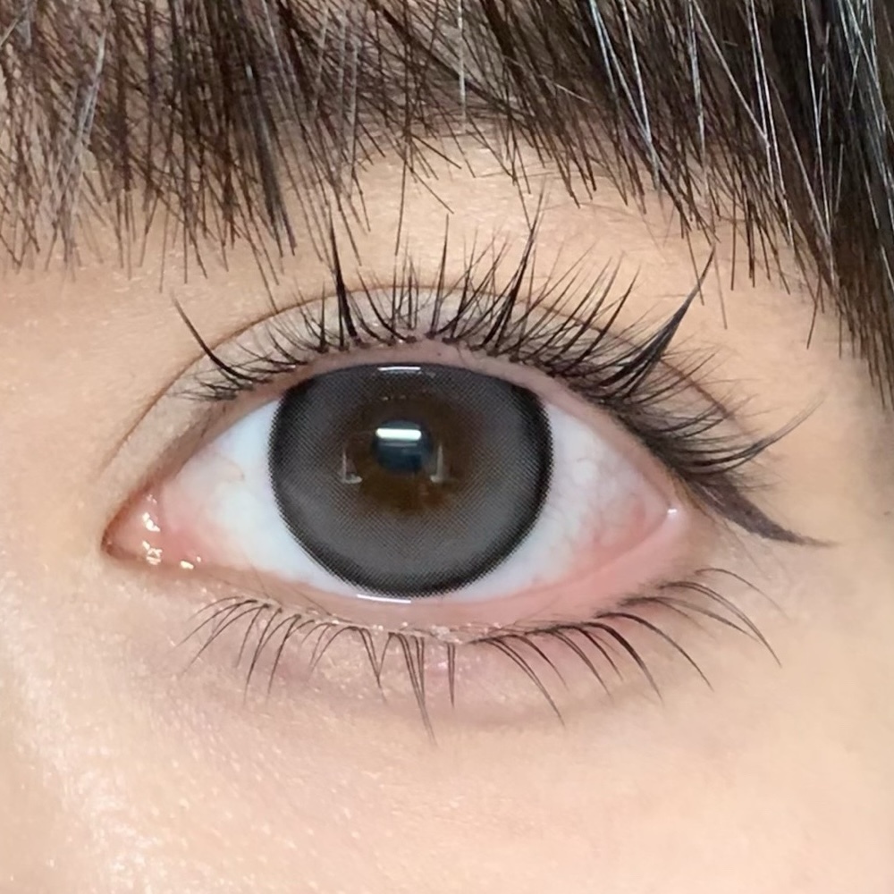 image_8A45A6AD-712A-4725-BEF9-B16986917AEB_1766227638