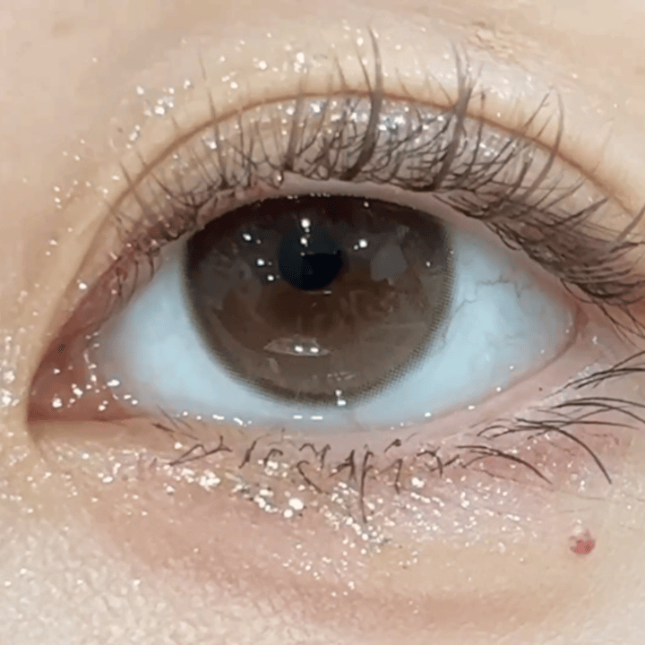 image_DD870A0A-CA6E-4B19-9754-079DB023A7AE_1766229085