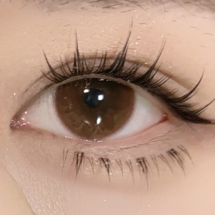 image_06EDE66E-7F38-4E51-BB70-B16CC664654B_1766229568