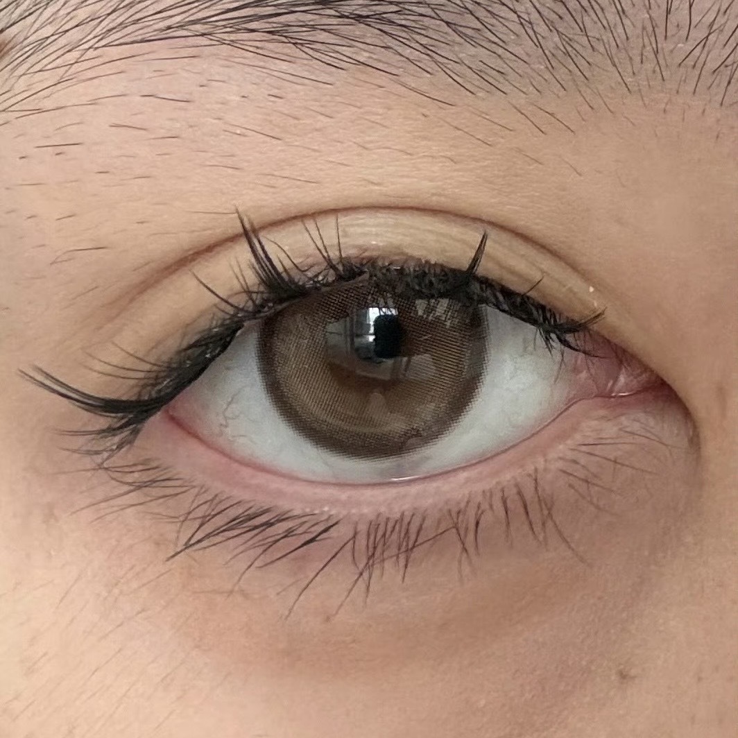 image_E0F46043-411C-4DE5-8E1A-7F1BA647C72C_1766248843