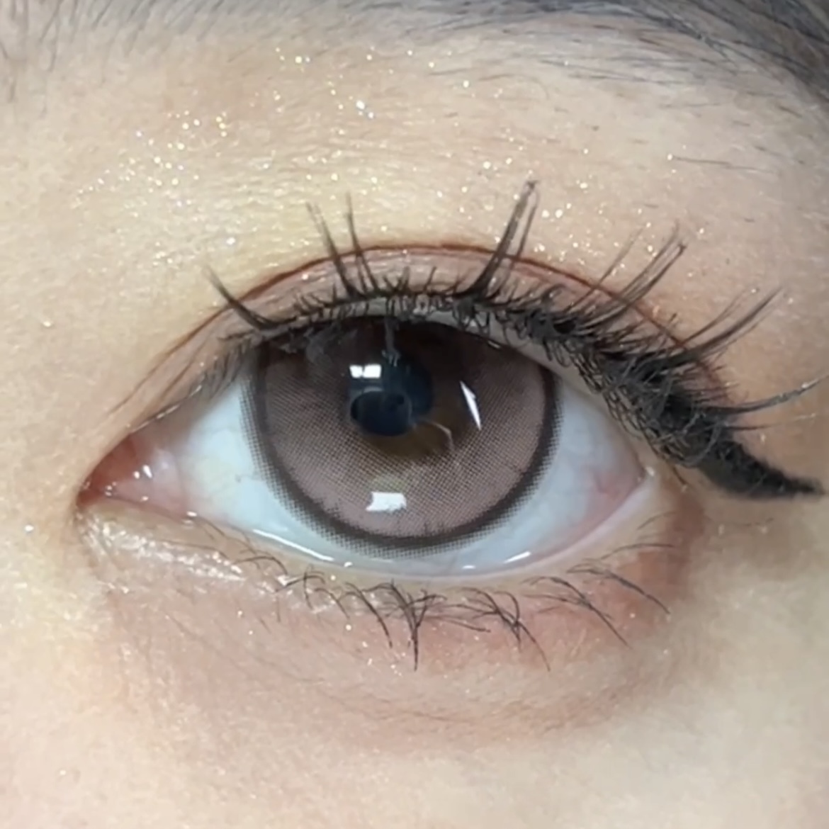 image_6D4B8118-D91A-44C1-9570-539C9A068A87_1766249058