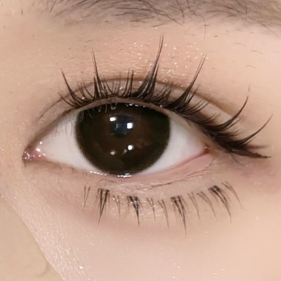 image_35EE8F37-1FA1-4598-9C60-06CB7F1DB5D6_1766249425