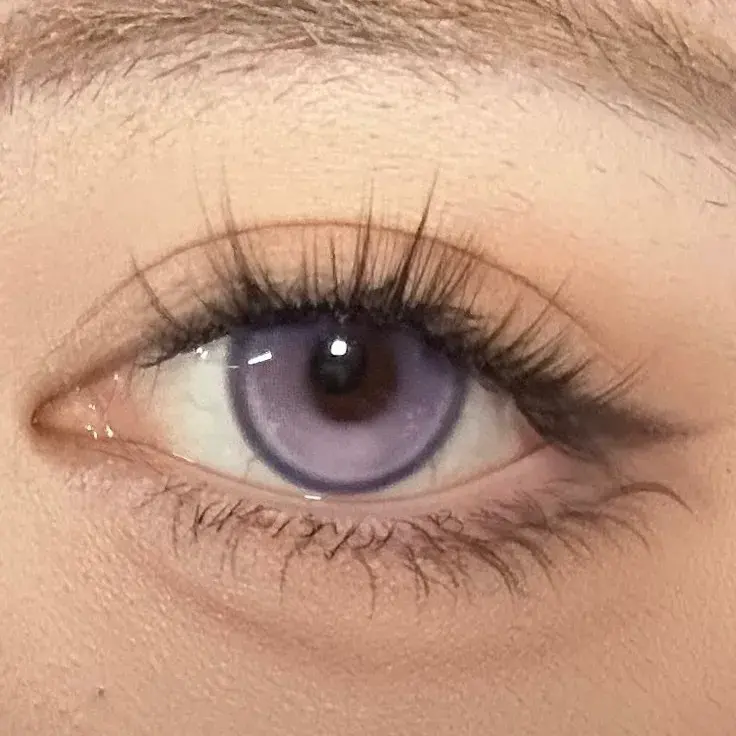 IMG_0977-1738852777264