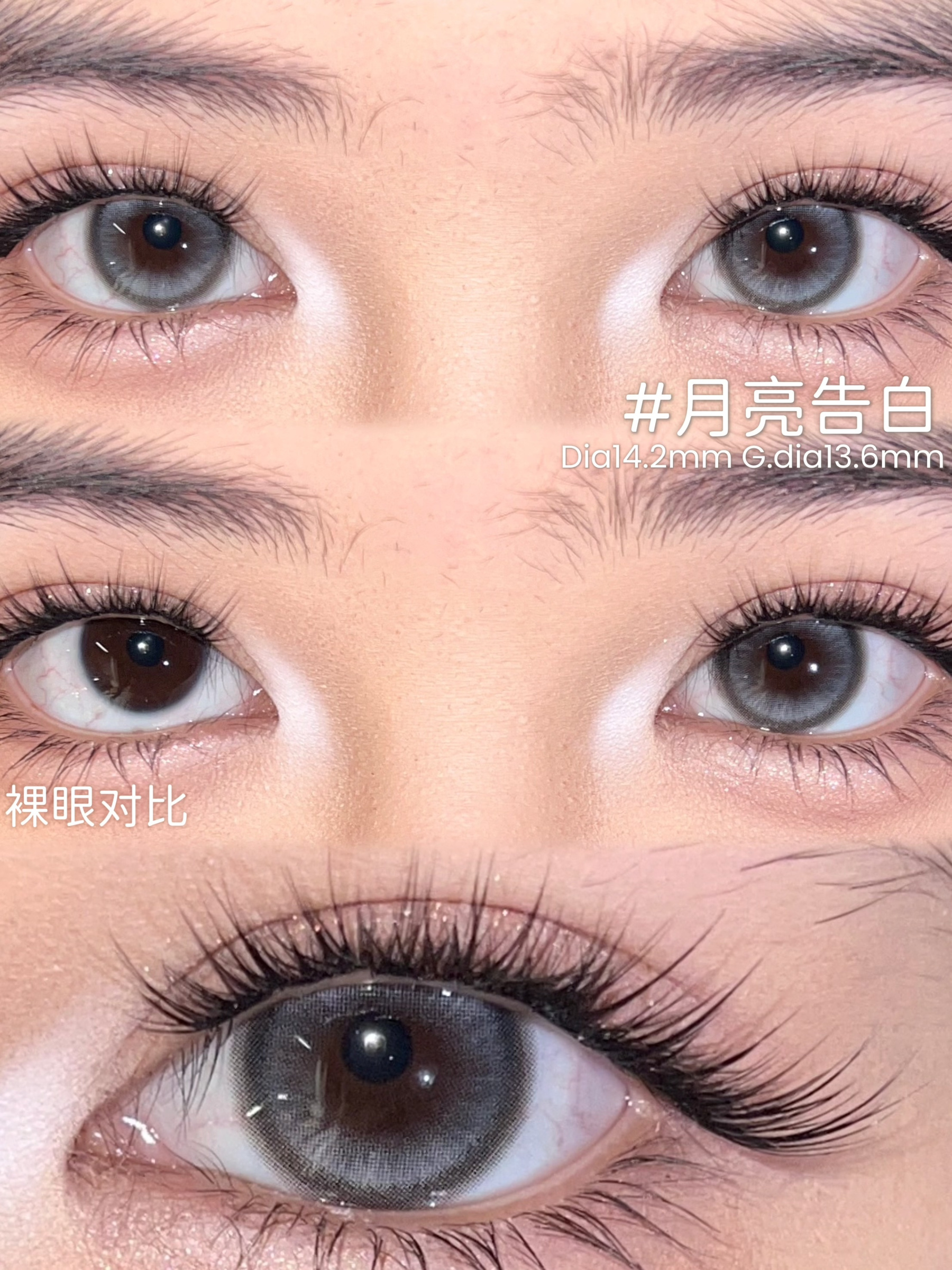 image_4C19C2A4-E7AA-408F-B7A0-0F6917ED2676_1766253973