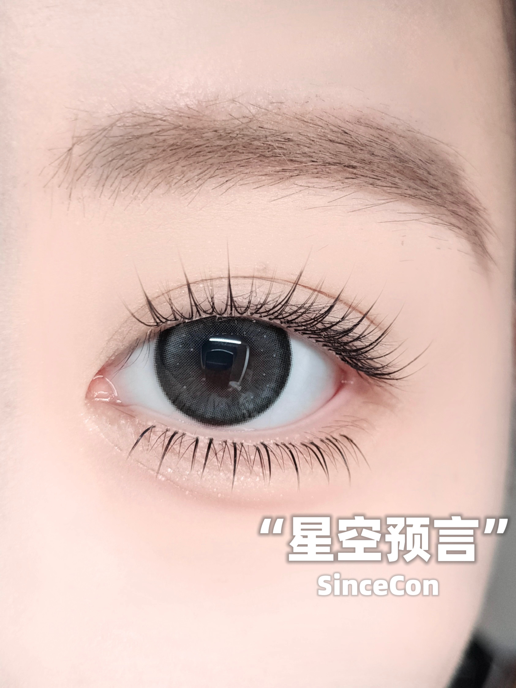 image_9B74B524-3359-44E3-9360-70BAD97CE0ED_1766254316