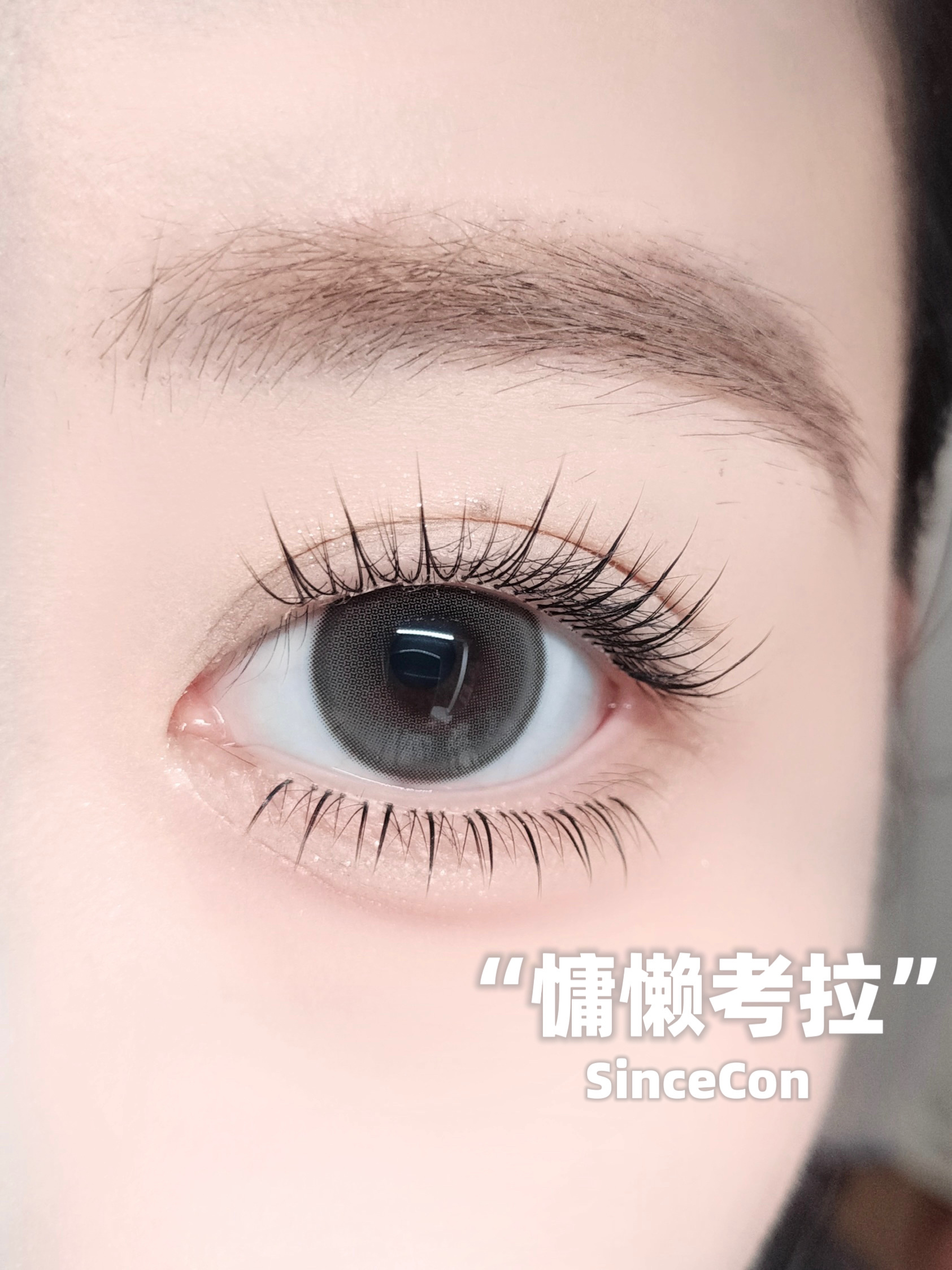 image_9052DEEB-321B-45FA-B145-94BCB487CD67_1766254373