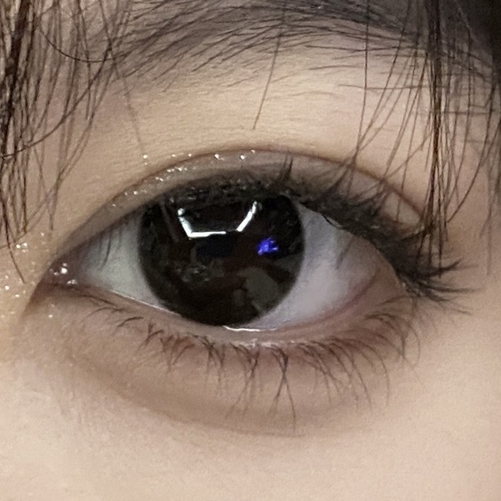 image_20E7231D-F239-4D1C-80D4-3CF45C82399D_1766255325