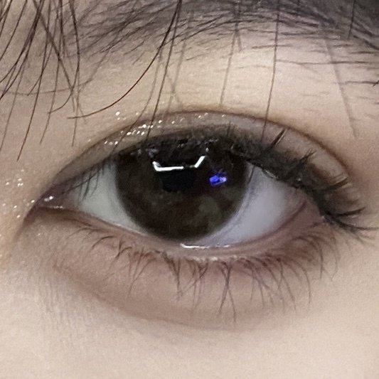 image_E73484C6-C3E5-428E-B03B-71F52A34BA04_1766255375