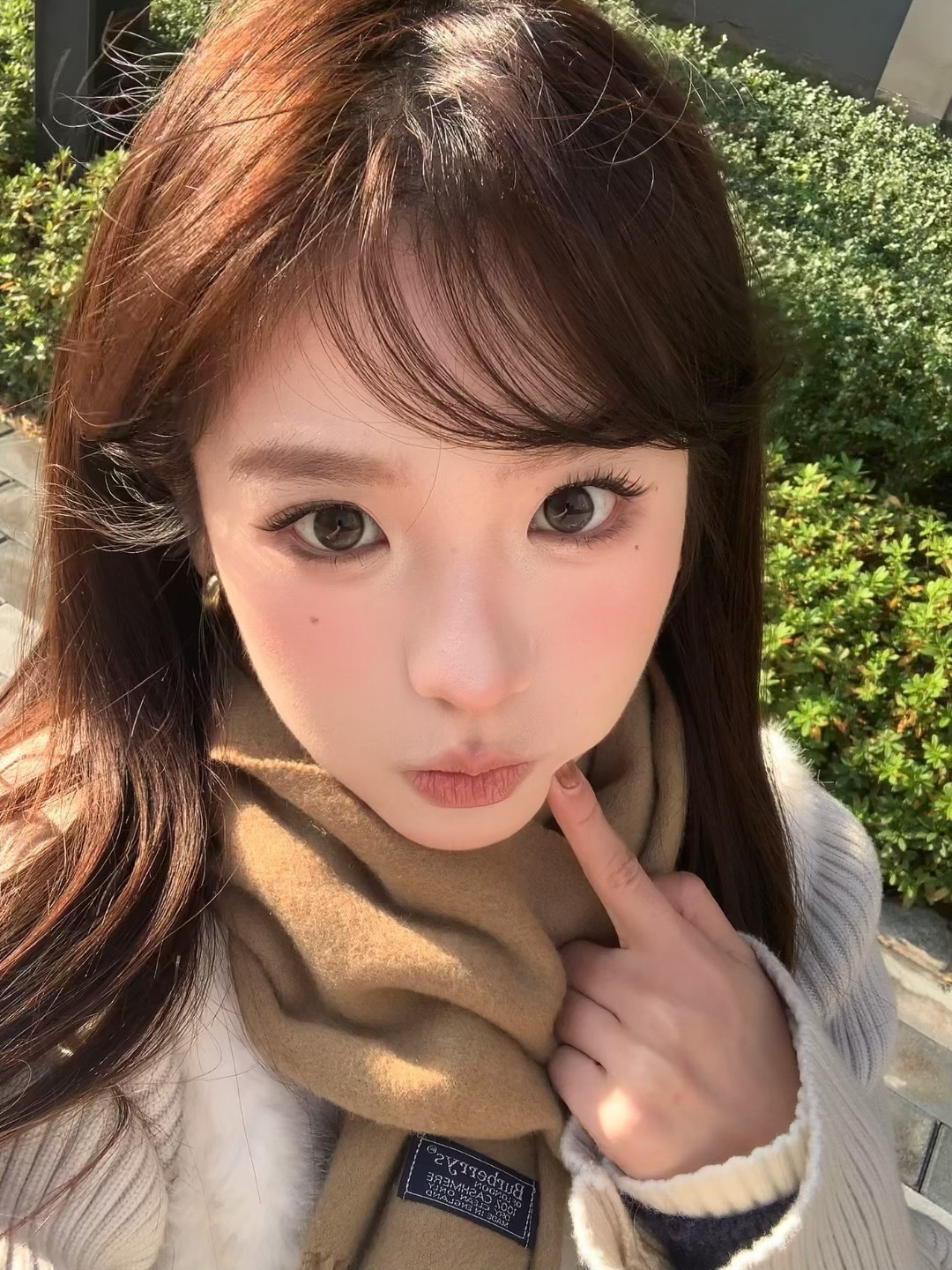 image_D2852B41-BED8-4170-BE94-3764FCF1A9F2_1766308304