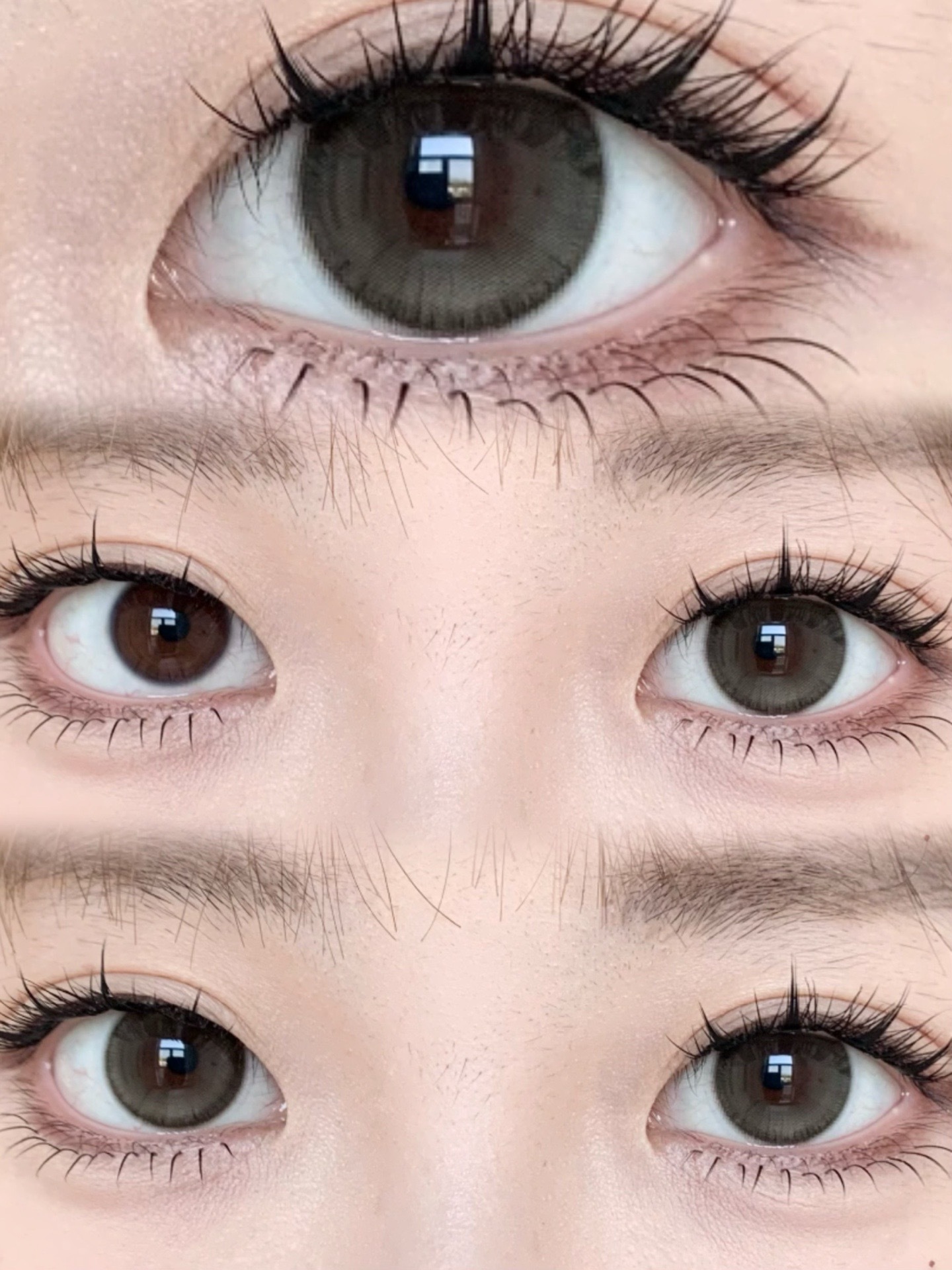 image_76C8EFC6-11DA-4B02-B9B7-D7D4433D42B0_1766308304