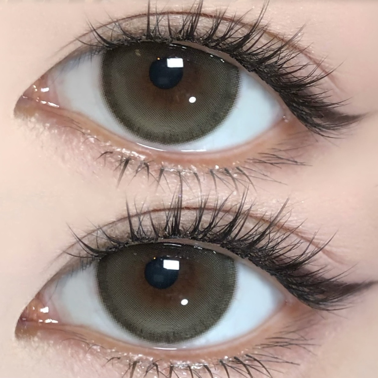 image_69288EBD-D49D-464E-B0A9-D1FC42957847_1766308334