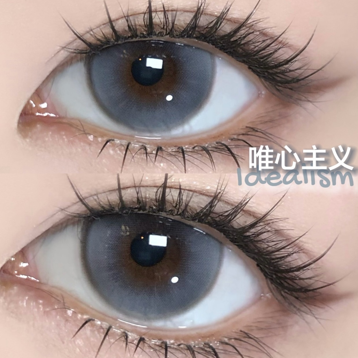 image_D5901D92-63A7-404C-A213-C1FA0371AFEE_1766308430