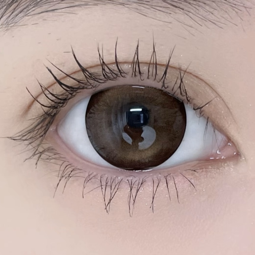 image_39F88281-7571-4343-960A-8034BCB17C55_1767088136