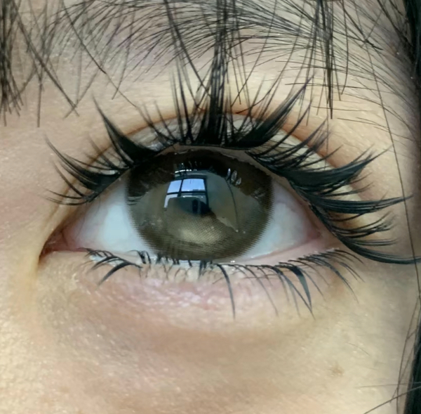 image_849B13A6-6EB7-41FB-95B4-117BBF6B4673_1767727605