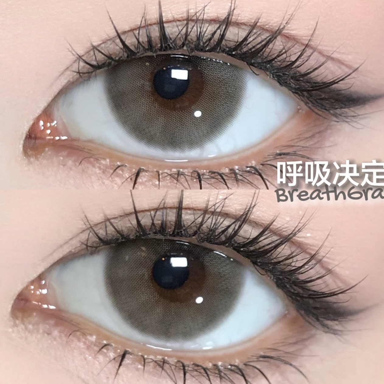 image_CBD146BB-7BAA-453D-9F7B-D68AE8E3B178_1768040572