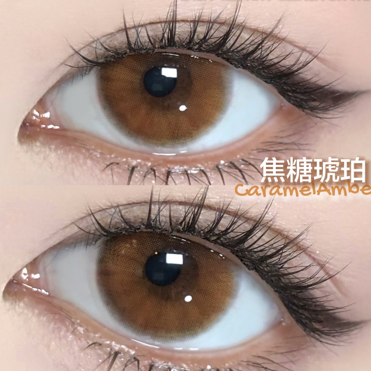 image_C839115C-2976-4DA6-83F7-2D5A200F7F94_1768040674